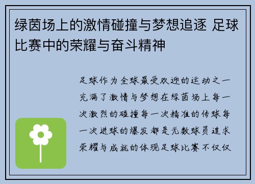 绿茵场上的激情碰撞与梦想追逐 足球比赛中的荣耀与奋斗精神