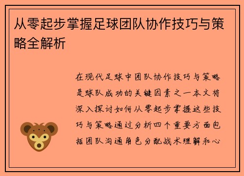 从零起步掌握足球团队协作技巧与策略全解析