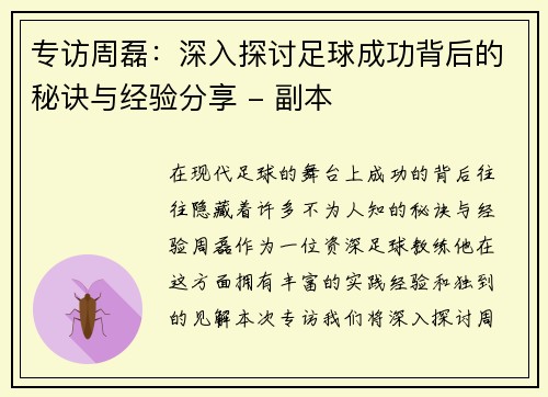 专访周磊：深入探讨足球成功背后的秘诀与经验分享 - 副本